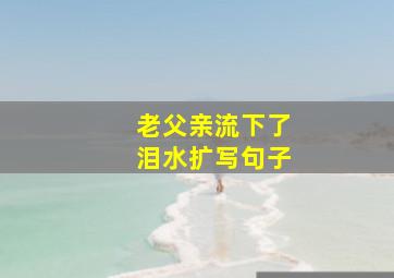 老父亲流下了泪水扩写句子