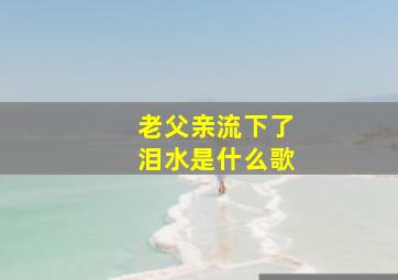 老父亲流下了泪水是什么歌