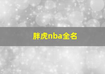 胖虎nba全名