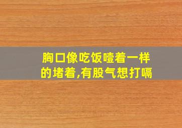 胸口像吃饭噎着一样的堵着,有股气想打嗝