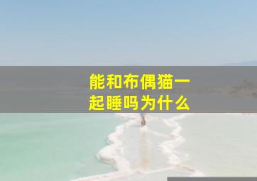 能和布偶猫一起睡吗为什么