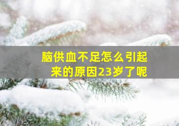 脑供血不足怎么引起来的原因23岁了呢