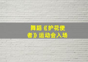 舞蹈《护花使者》运动会入场