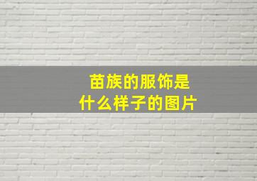 苗族的服饰是什么样子的图片