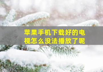 苹果手机下载好的电视怎么没法播放了呢