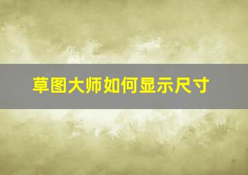 草图大师如何显示尺寸