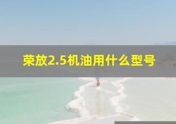 荣放2.5机油用什么型号