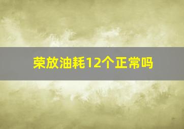 荣放油耗12个正常吗