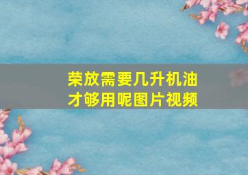 荣放需要几升机油才够用呢图片视频