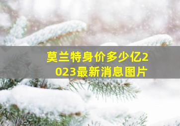 莫兰特身价多少亿2023最新消息图片