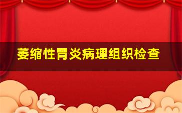 萎缩性胃炎病理组织检查