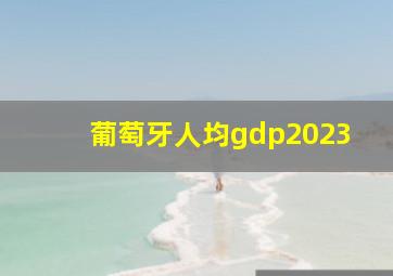 葡萄牙人均gdp2023