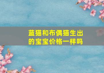 蓝猫和布偶猫生出的宝宝价格一样吗