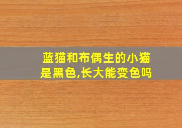 蓝猫和布偶生的小猫是黑色,长大能变色吗