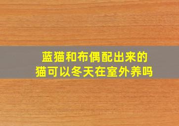 蓝猫和布偶配出来的猫可以冬天在室外养吗