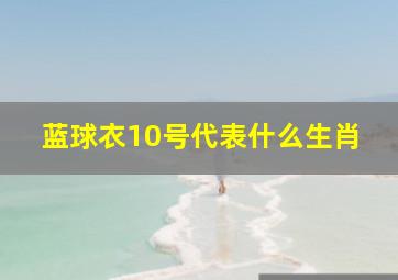 蓝球衣10号代表什么生肖