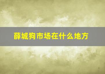 薛城狗市场在什么地方