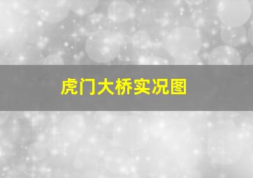 虎门大桥实况图