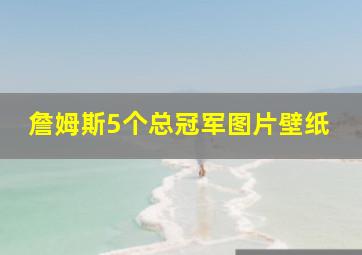 詹姆斯5个总冠军图片壁纸