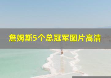 詹姆斯5个总冠军图片高清