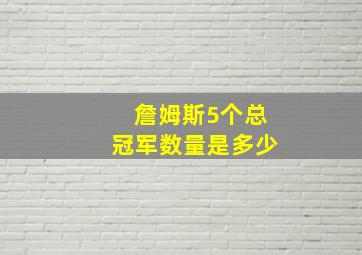 詹姆斯5个总冠军数量是多少