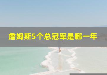 詹姆斯5个总冠军是哪一年