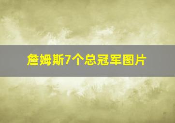 詹姆斯7个总冠军图片