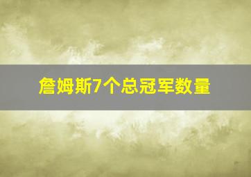 詹姆斯7个总冠军数量