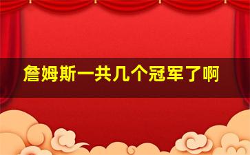 詹姆斯一共几个冠军了啊