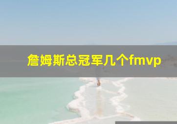 詹姆斯总冠军几个fmvp