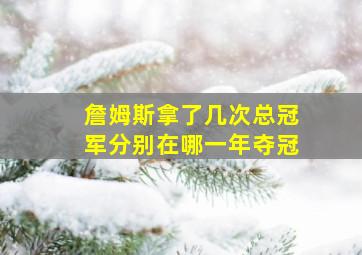 詹姆斯拿了几次总冠军分别在哪一年夺冠