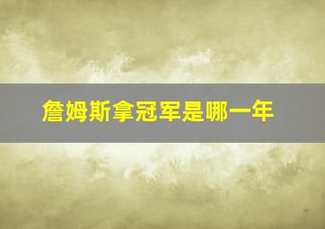 詹姆斯拿冠军是哪一年