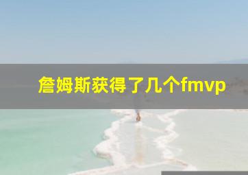 詹姆斯获得了几个fmvp