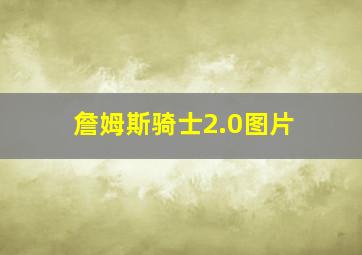 詹姆斯骑士2.0图片