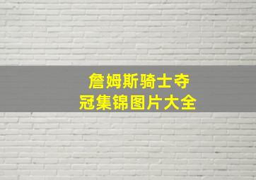 詹姆斯骑士夺冠集锦图片大全