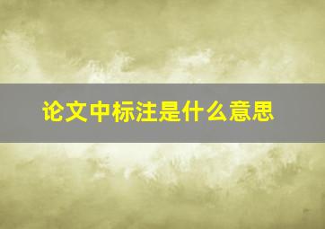 论文中标注是什么意思