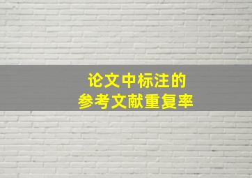 论文中标注的参考文献重复率