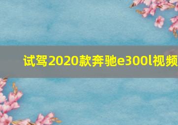 试驾2020款奔驰e300l视频