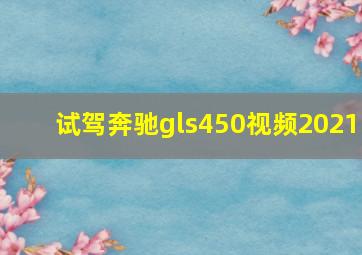 试驾奔驰gls450视频2021