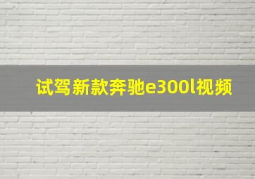 试驾新款奔驰e300l视频