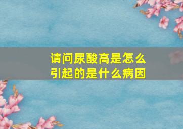 请问尿酸高是怎么引起的是什么病因