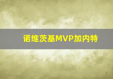 诺维茨基MVP加内特