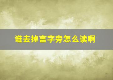 谁去掉言字旁怎么读啊