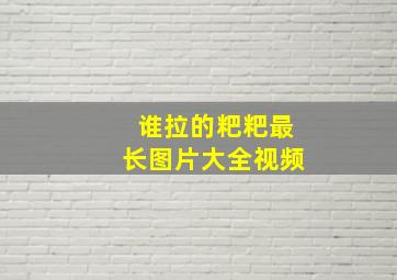 谁拉的粑粑最长图片大全视频