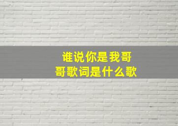 谁说你是我哥哥歌词是什么歌