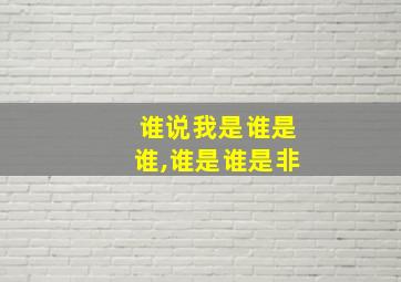 谁说我是谁是谁,谁是谁是非