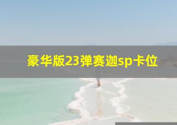 豪华版23弹赛迦sp卡位