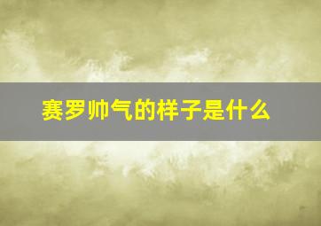 赛罗帅气的样子是什么