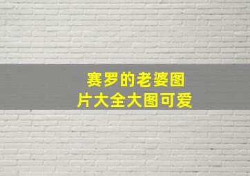 赛罗的老婆图片大全大图可爱