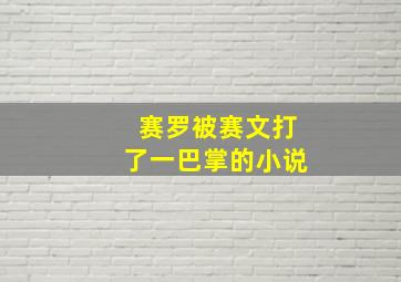 赛罗被赛文打了一巴掌的小说